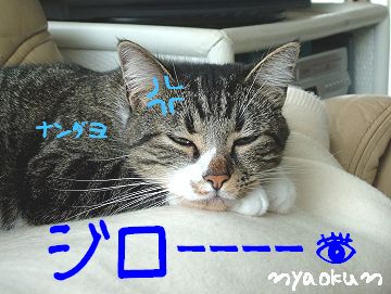 【極道級】睨んでおります。