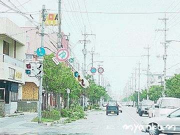 信号もぶら～ん【台風13号】