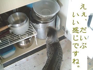 お掃除具合はどうですか？