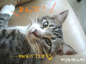 寝置きボケボケ