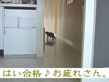 合格です