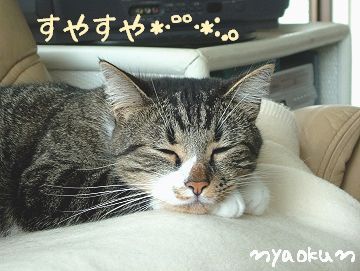 日課ですから。