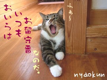 【留守猫】退屈ですが我慢します。