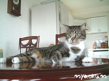 セクシーなひととき。