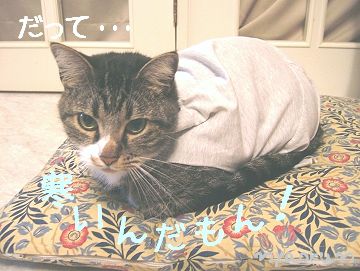 寒いの苦手！（≧ω≦）