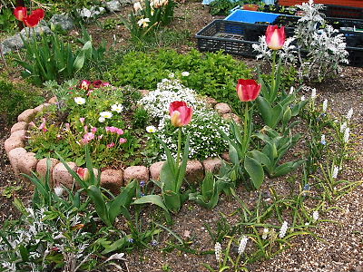 ２００８玄関前花壇