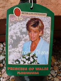 プリンセス・オブ・ウェールズ