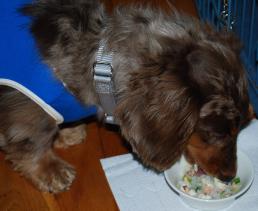 1/1１お食事中ケンシン