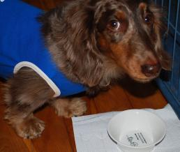 １/１１完食ケンシン