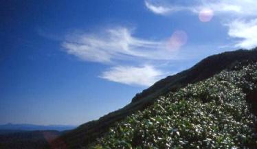 無意根山01sep26012.jpg