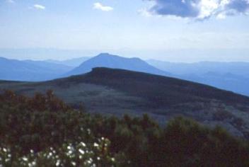 無意根山01sep26025.jpg