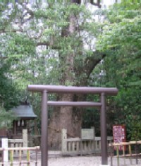 いざなみ神社２.jpg