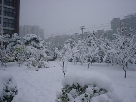 初雪（2）