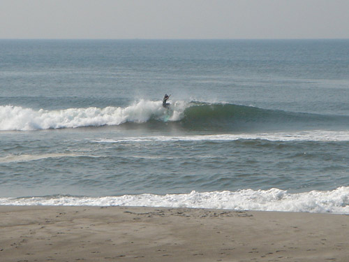 DSC06515.jpg