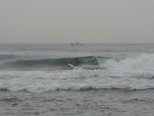 DSC06560.jpg