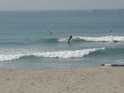 DSC06549.jpg