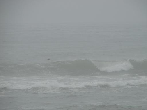 DSC01113.JPG