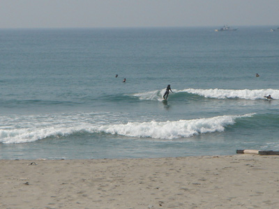 DSC06550.jpg