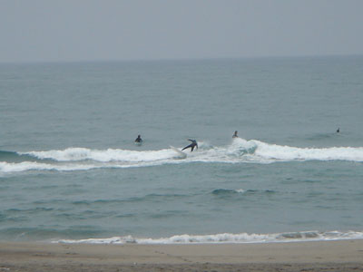 DSC06493.jpg