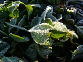 凍てつく元旦の朝