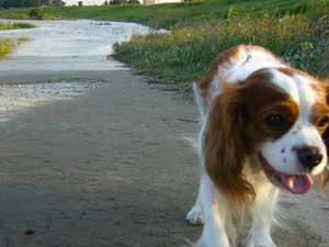 押し寄せてくる！？？？