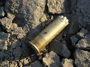 落下したのは・・・