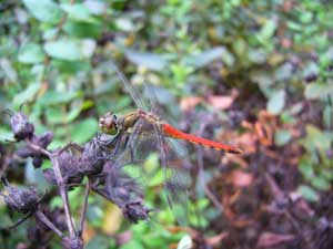先日、公園にて