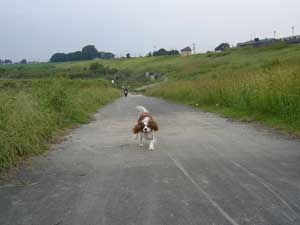 タタタタタッ～　駆け寄る