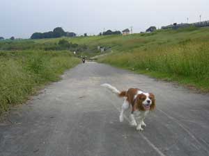 駆け抜ける？？？