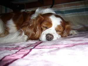 うちが一番いいわぁ～