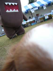 ドーモ君迫る！