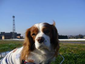 朝日がまぶしいわ！