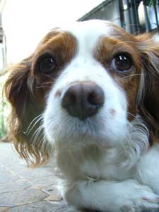 こんな日はタイル寝に限るわ