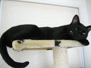 なにか付いてますけど・・