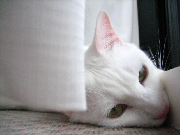 ・・・・・・。