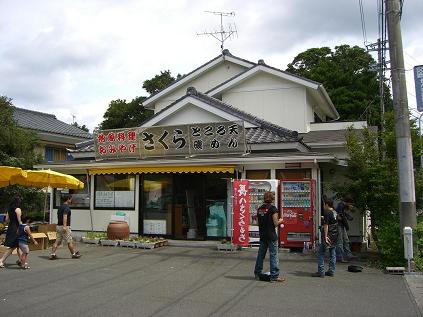 松崎町　地魚料理　さくら