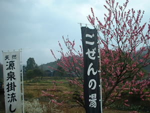 izu-hiyakawa-spa.jpg