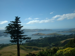 nz-dunedin.jpg