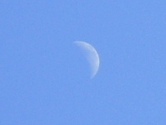 moon