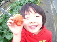 いちご狩り-あお.jpg
