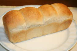 パウンド型で２日目