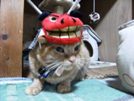 ミー1.JPG