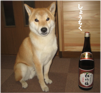 お酒7.jpg