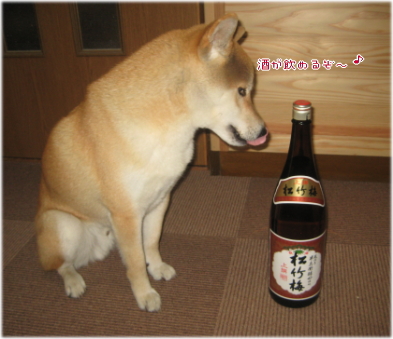 お酒4.jpg