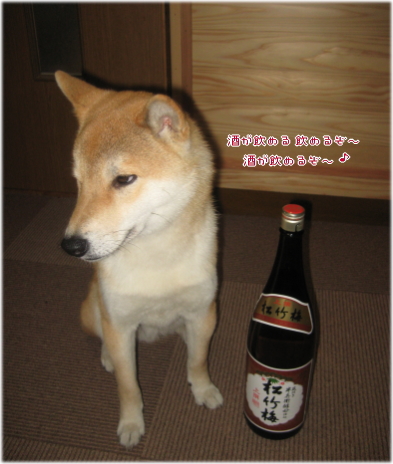 お酒5.jpg