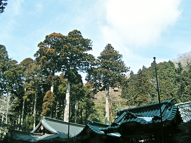 箱根神社