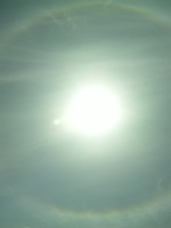 太陽の虹