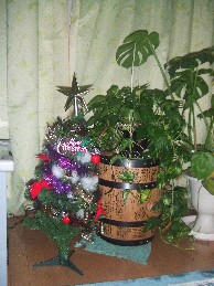 クリスマスツリー２.JPG