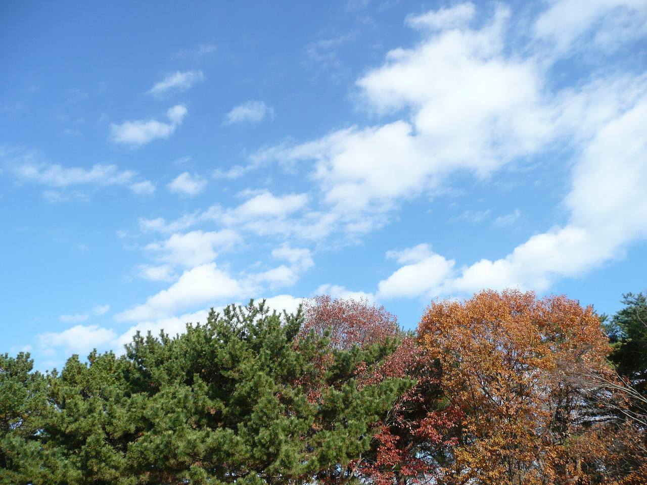 ひたちなか空