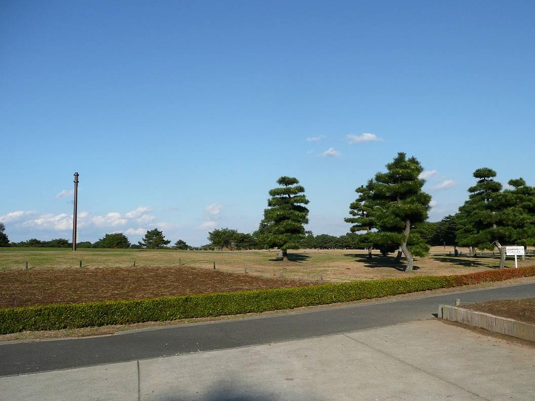 サイクリング草原